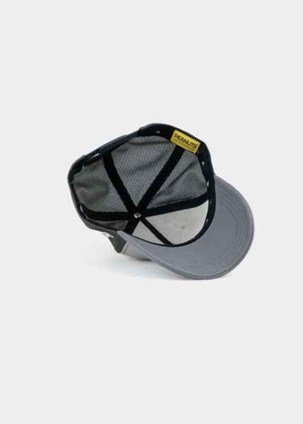 Cap "Peanuts Transformer" - grau (Curved)